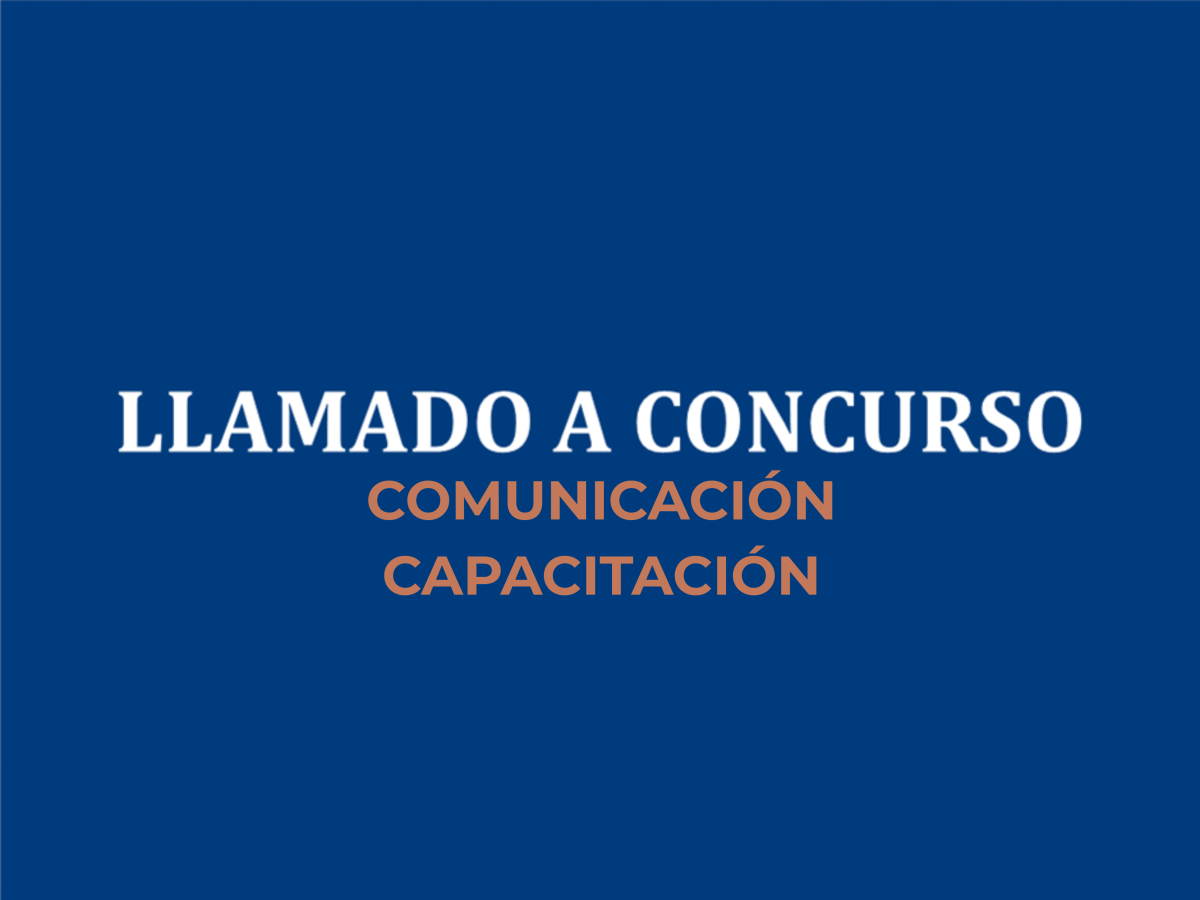 Llamado a Concurso para Consultorías en Comunicación y Capacitación.