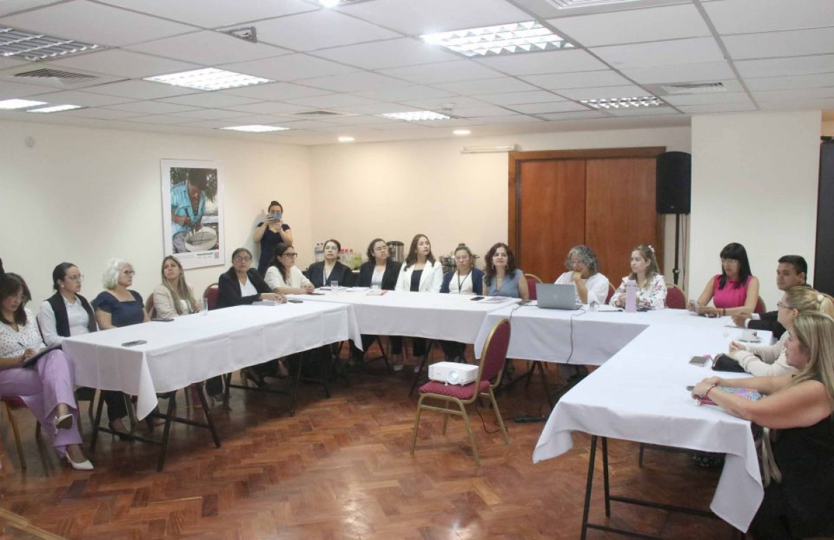 Secretaría de Género realizó tercer taller sobre análisis y selección de indicadores del MESECVI